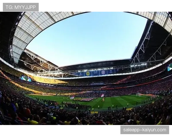 2026年欧冠决赛场地温布利启动草坪更换与设施升级工程